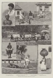 Skizzen in den nördlichen Provinzen Brasiliens